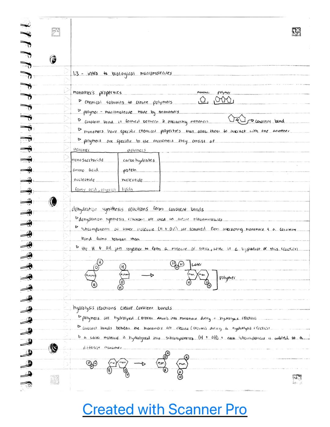 AP B.u classroom notes~

Unit 1

1.1 - Structure of water and hydrogen bonding.

the subcomponents of biological molecules determine the pro
