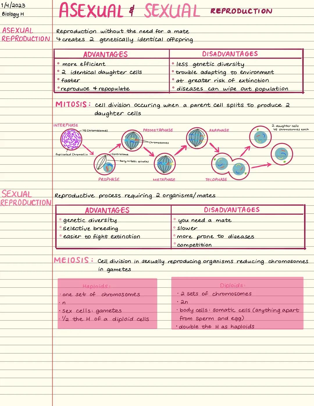 # 1/4/2023
Biology H

ASEXUAL
REPRODUCTION

# ASEXUAL & SEXUAL REPRODUCTION
Reproduction without the need for a mate
$ightharpoonup$creates