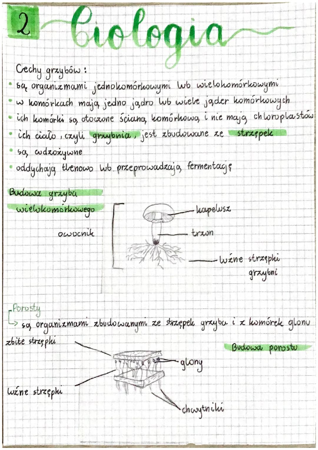 # 1 biologia

Systematyka
to dziedzina biologii, której zadanie jest opisywanie,
nazywanie, a także klasyfikowanie organizmów.

KRÓLESTWO

b