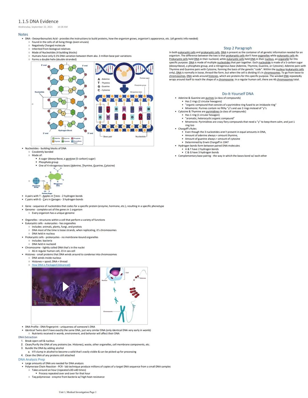 # 1.1.5 DNA Evidence
Wednesday, September 22, 2021 10:28 AM

Notes
- DNA-Deoxyribonucleic. Acid - provides the instructions to build protein