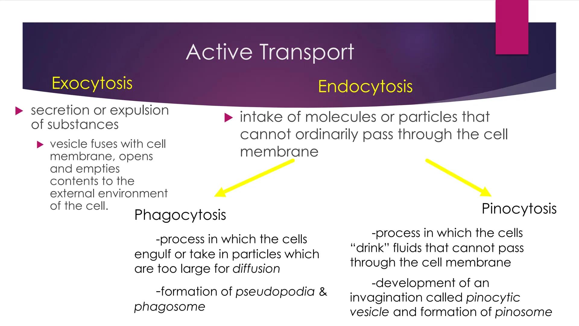Maintain and
Regulate Internal
Environment

#HOMEOSTASIS # Homeostasis in Cellular Physiology

- ability of cells to maintain a constant int