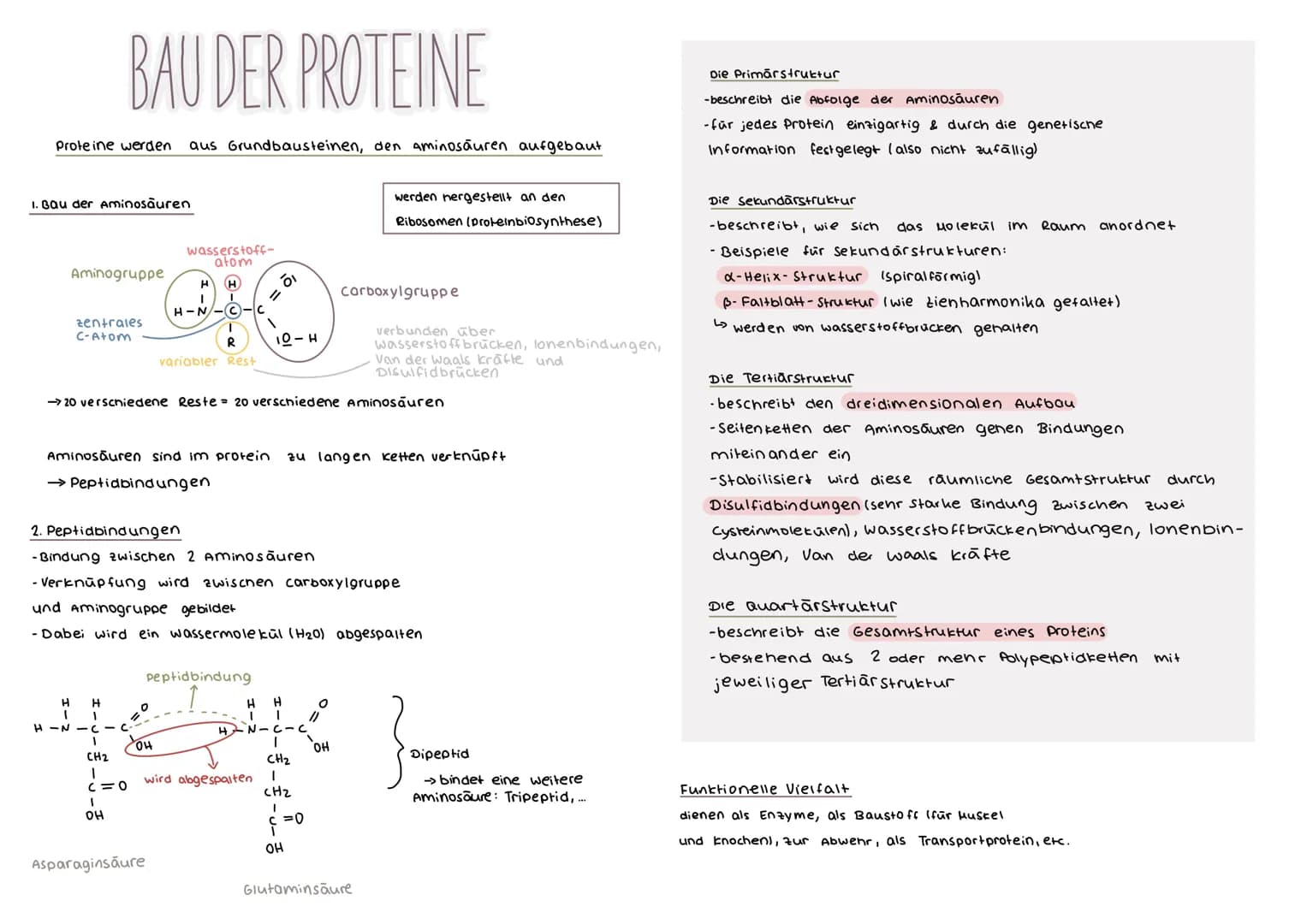 # DER GENETISCHE CODE

was ist der genetische Code ?

Der genetische Code ist die in der Basensequenz
der DNA verschlusselt vorliegende Info