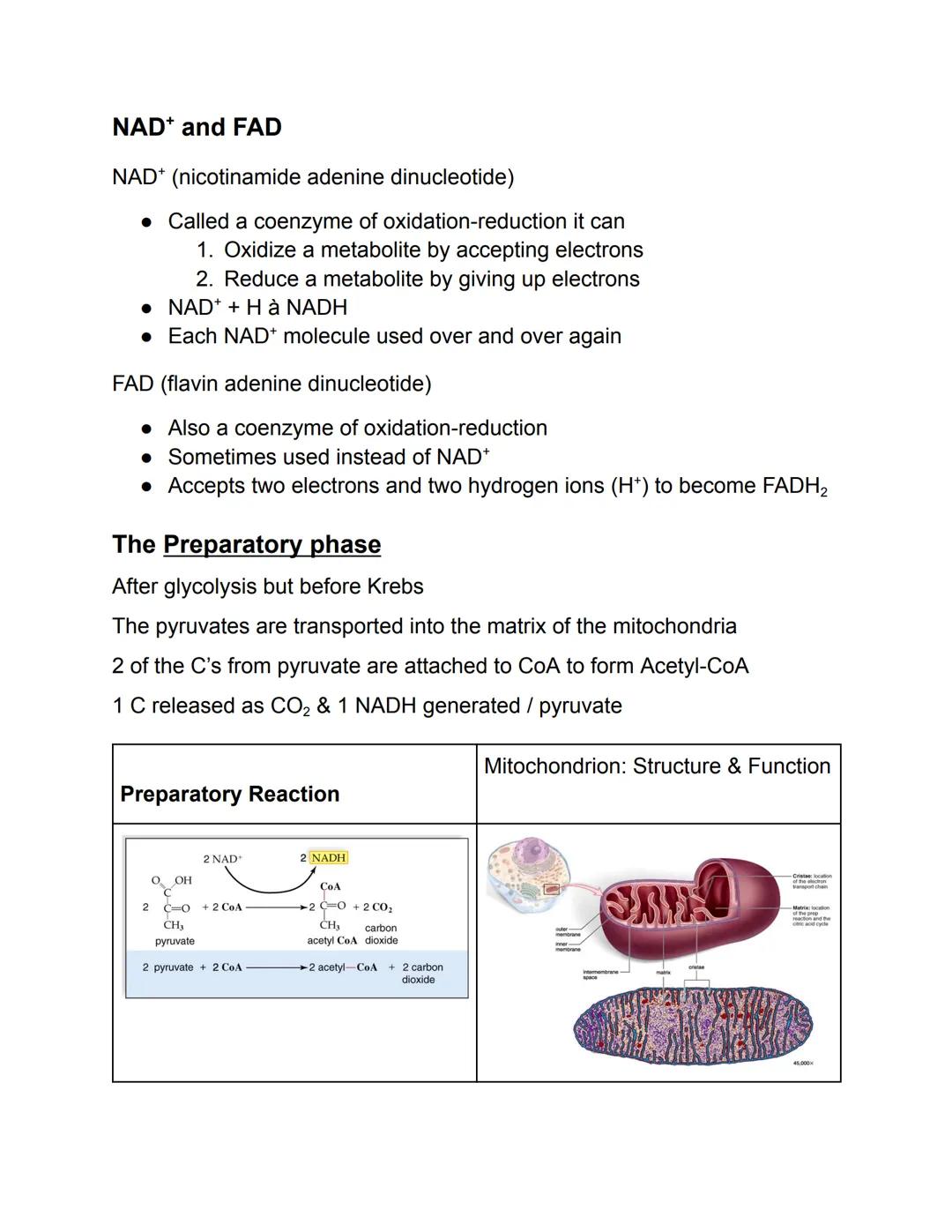 # Glycolysis Summary

Begin with ONE glucose molecule:

• That's 6 carbons!

Gets phosphorylated on BOTH ends

• This costs two ATPs

Gets c