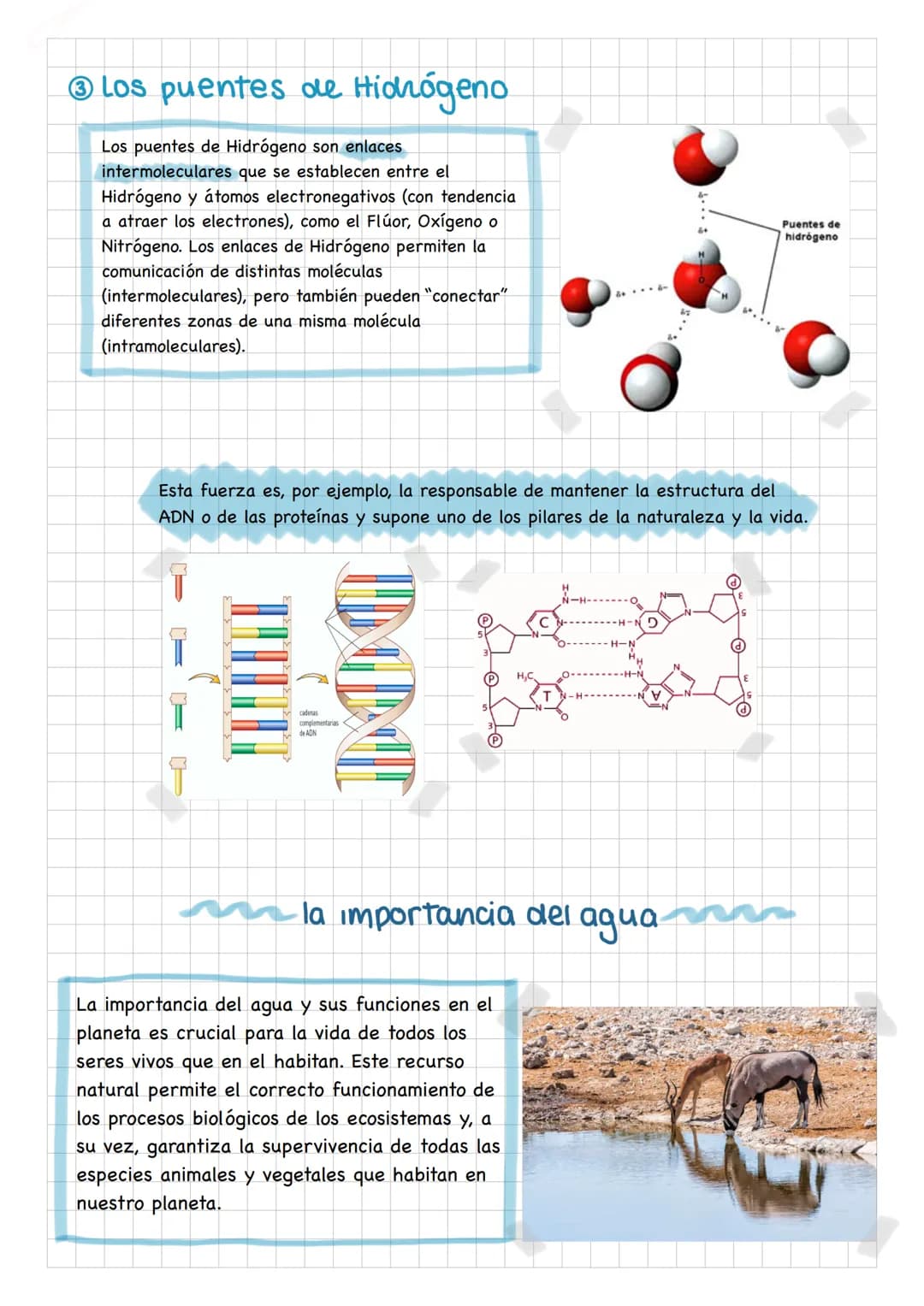 # La molécula de agua

Y
# Los Puentes de hidrógeno
Ciana vega Doval

el agua
es un indicador del estado del planeta Tierra, de la vida, de 