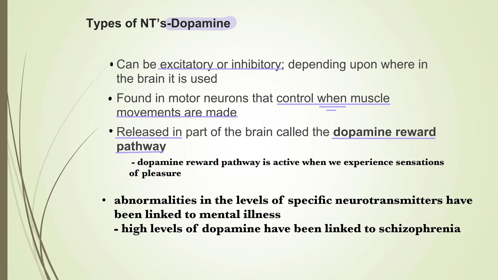 # The synapse and neurotransmitters

Excitatory Neurotransmitters
•Starts impulse transmission

• Will start a new impulse in the postsynapt