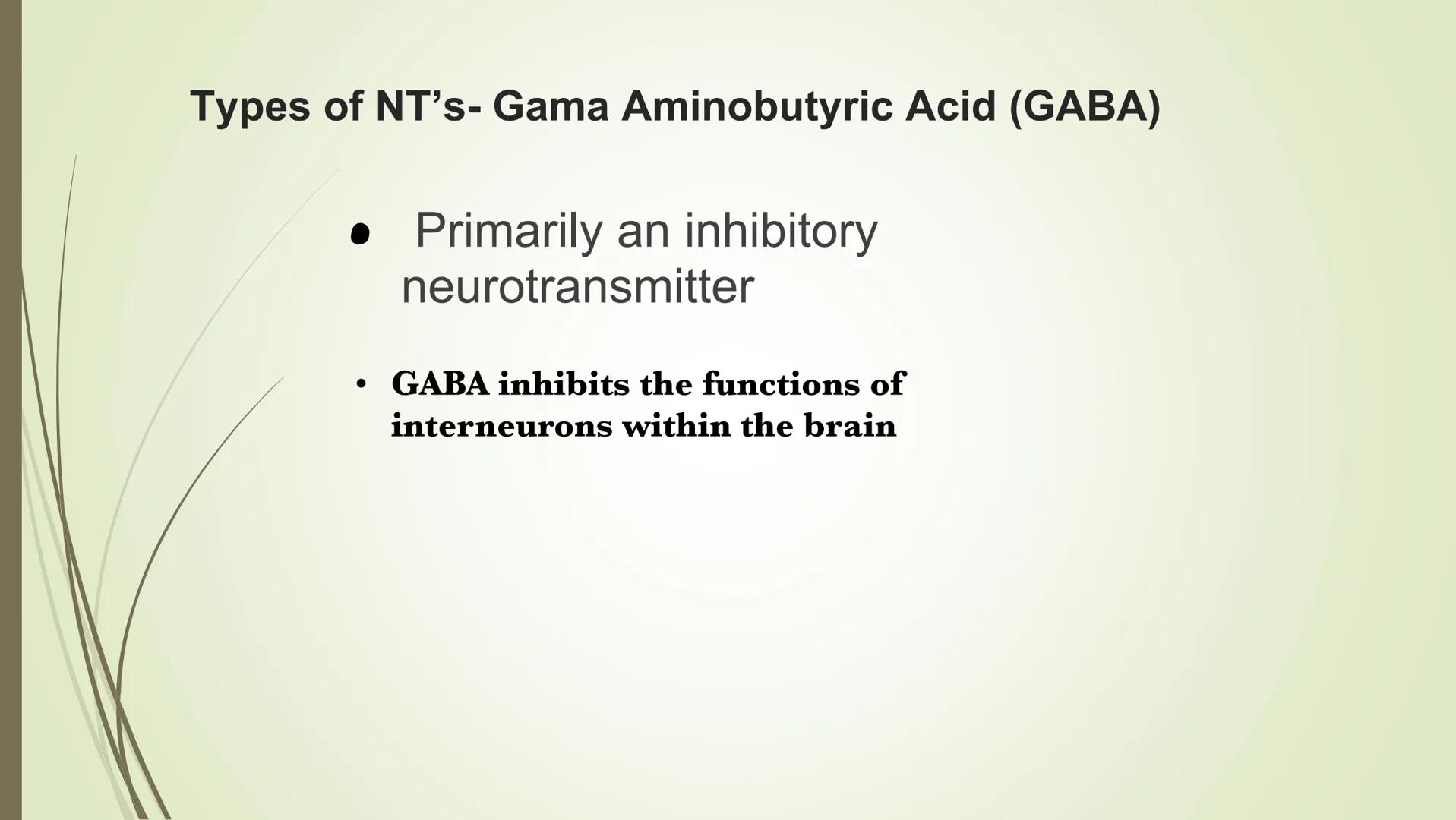 # The synapse and neurotransmitters

Excitatory Neurotransmitters
•Starts impulse transmission

• Will start a new impulse in the postsynapt