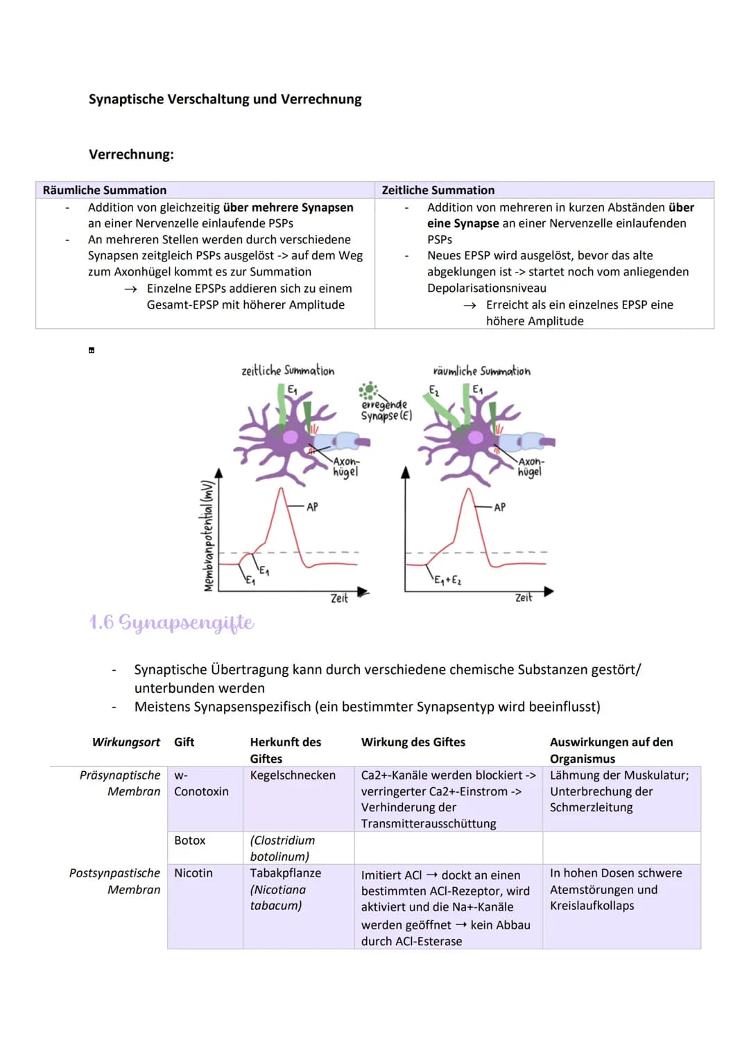 
<h2>Aufbau und Funktionen von Neuronen</h2>
<p>Die Nervenzelle, auch Neuron genannt, hat verschiedene Bestandteile, die für ihre Funktion v