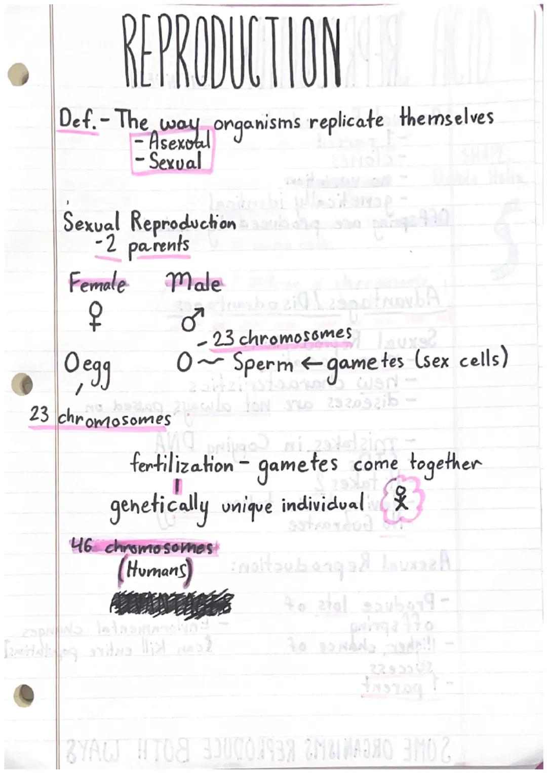 # REPRODUCTION

Def. The way organisms replicate themselves
- Asexval
- Sexual

Sexual Reproduction
-2 parents

Female Male

Female
오
+

Deg