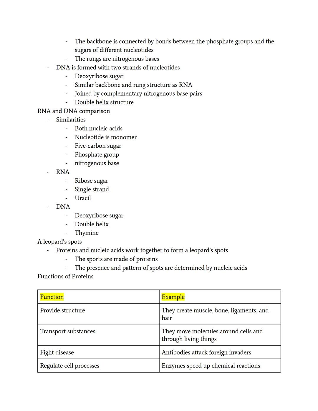 Proteins and Nucleic Acids

Discovery of Proteins
- Gerardus Johannes Mulder discovered the chemical composition of proteins
- Jons Jacob Be