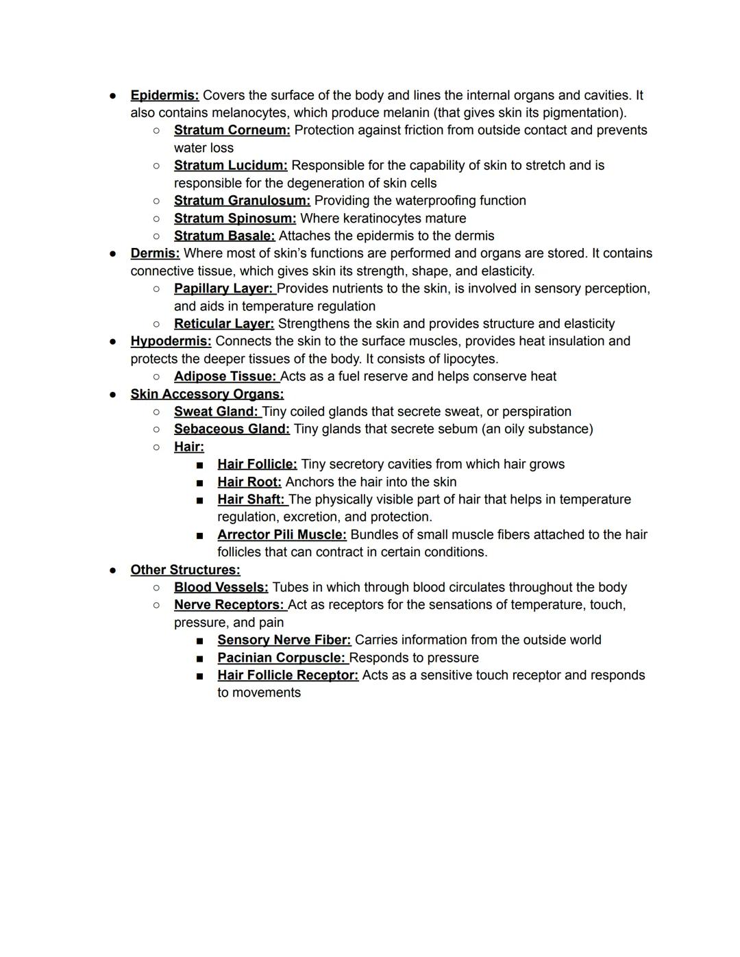 - Epidermis: Covers the surface of the body and lines the internal organs and cavities. It
also contains melanocytes, which produce melanin 