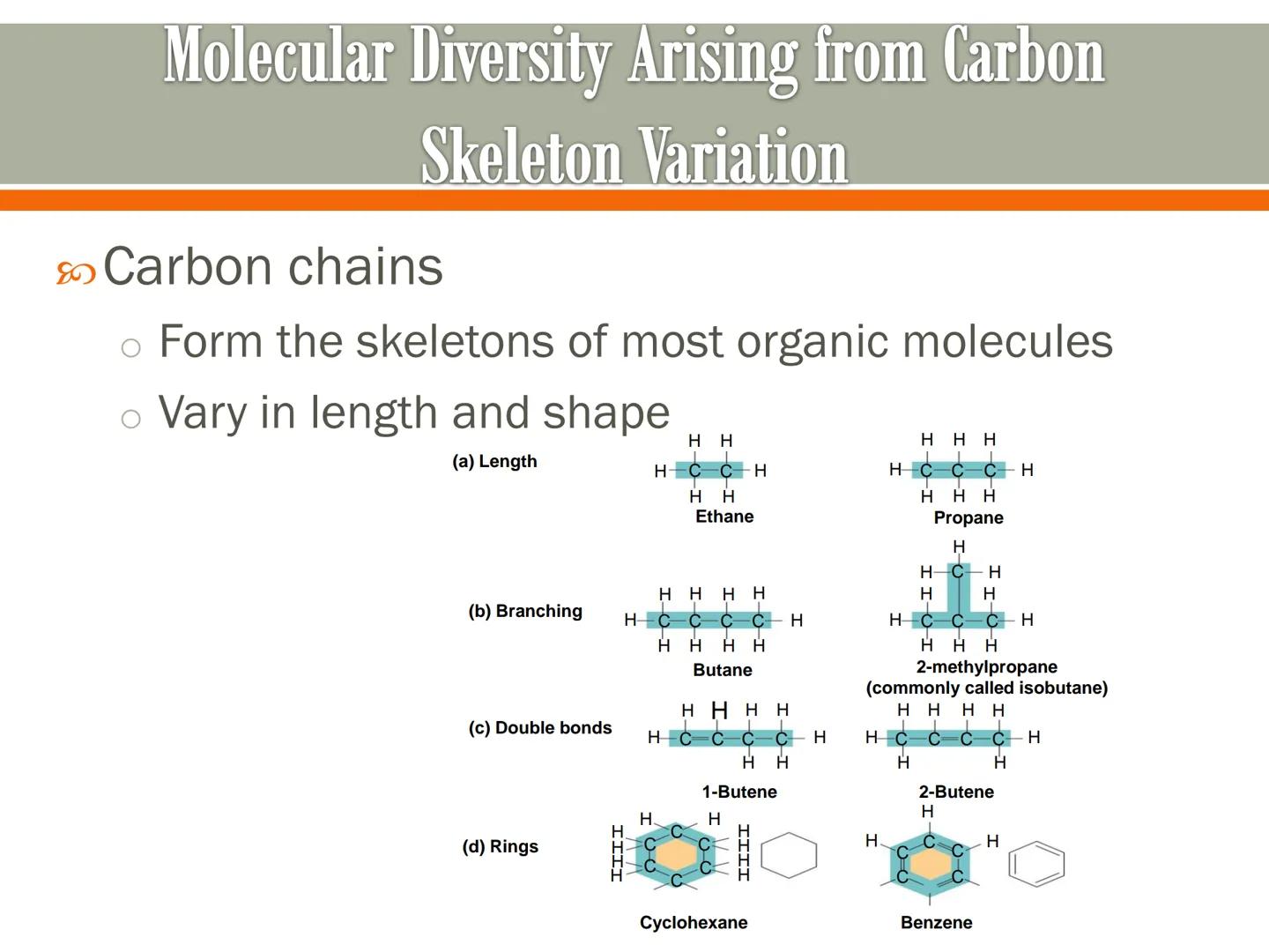 # Carbon and the Molecular

# Diversity of Life

Lecture 2a # Carbon—The Backbone of Biological Molecules

All living organisms

*   Are mad