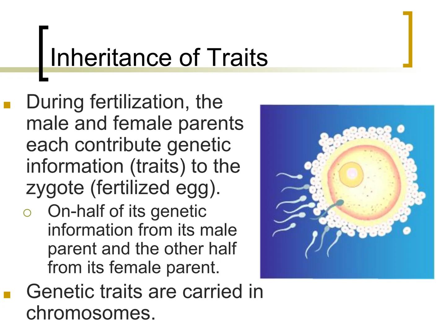 
<p>Genetics is the study of heredity, which involves the passing of traits from parents to offspring. Traits such as hair color, eye color,