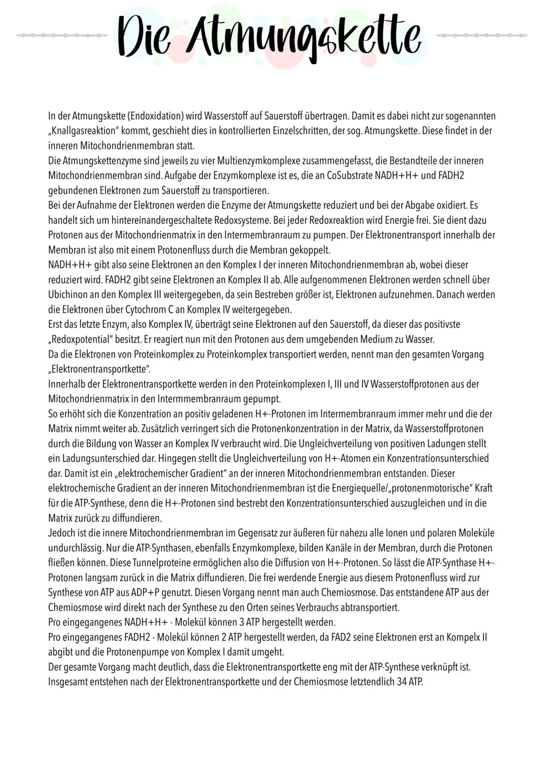  # Riologie Klausич SHBAKE

AUFBAU EINES MITOCHONDRIUMS

Matrix

Außere Membran
Innere Membran
DNA
Ribosomen

AUFBAU UND AUFGABE EINES ATP-M