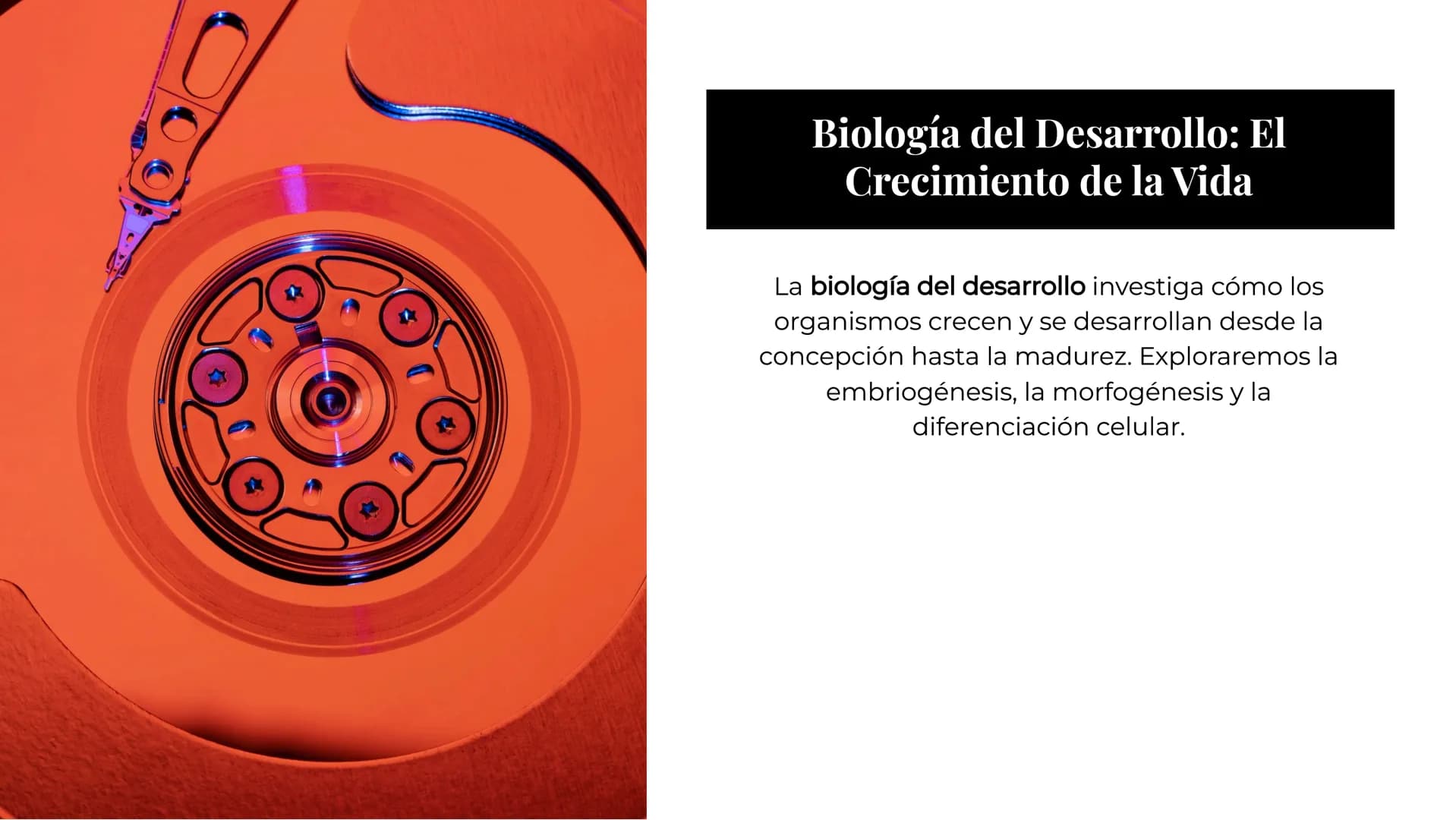 # Explorando los
# Misterios de la
# Biología # La Célula: Un Universo
Pequeño

La célula es la unidad básica de la vida.
Descubriremos sus 