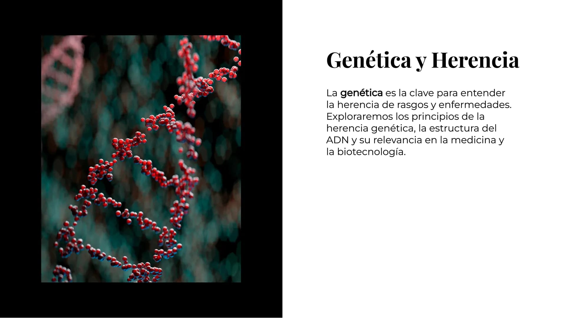 # Explorando los
# Misterios de la
# Biología # La Célula: Un Universo
Pequeño

La célula es la unidad básica de la vida.
Descubriremos sus 