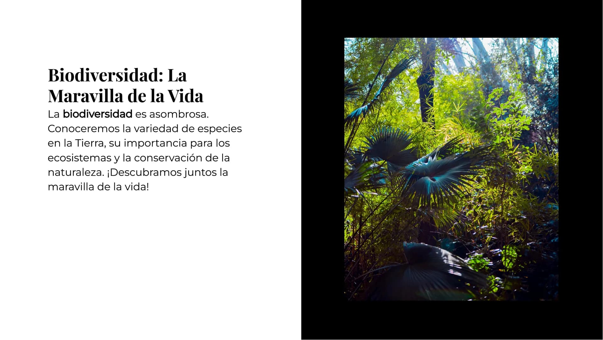 # Explorando los
# Misterios de la
# Biología # La Célula: Un Universo
Pequeño

La célula es la unidad básica de la vida.
Descubriremos sus 