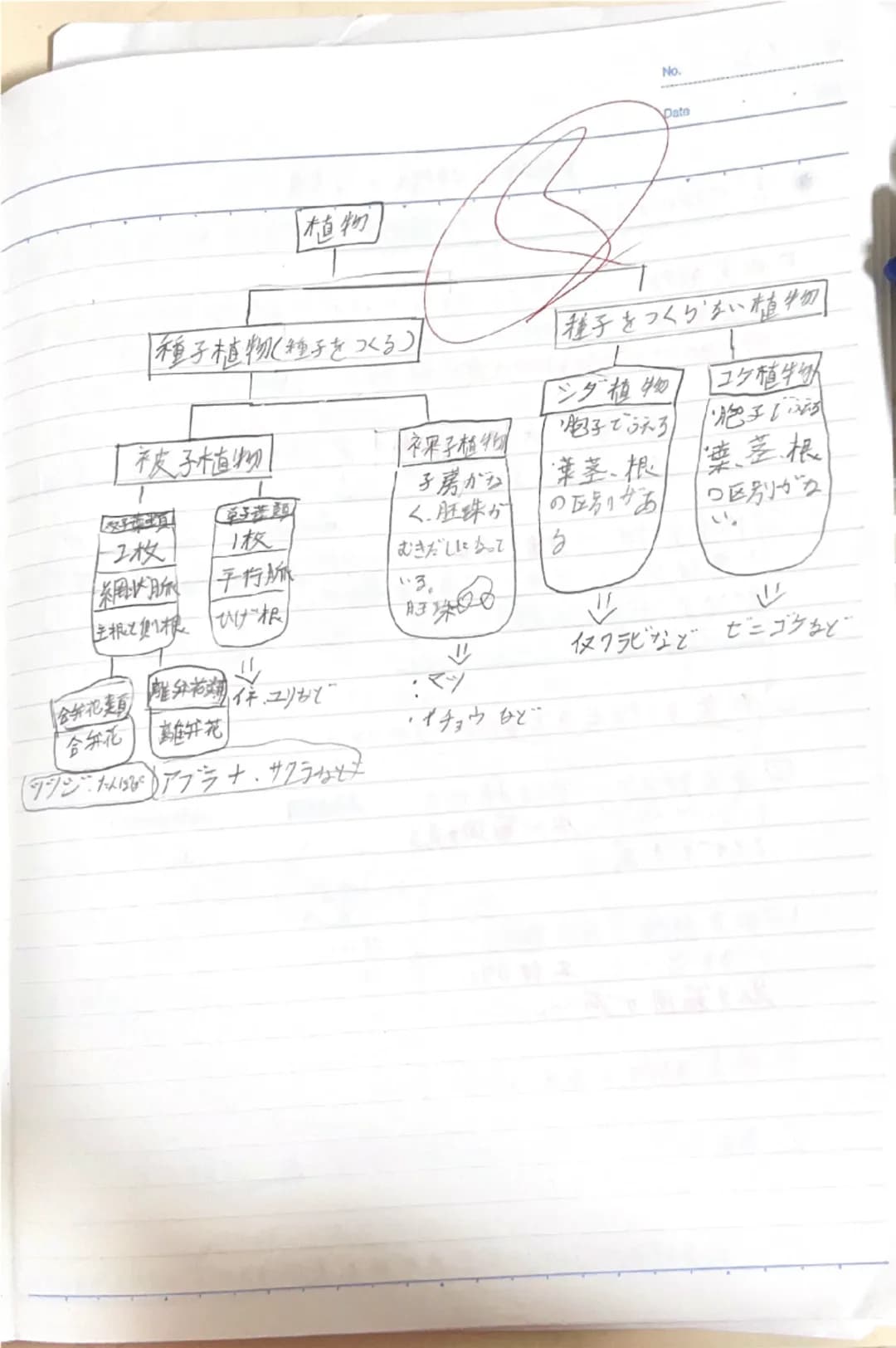 双眼実体顕微鏡
鏡筒
対物レンズ
クリップ
ステージ
-接眼レンズ
・視度調節リンダー
-粗動市ジ
微動ネジ
支柱
双眼実体显页微鏡の注意点
・双眼実体顕微鏡の倍率は20~40倍程度である。
・倍率=接眼レンズの倍率×対物レン状の倍率
・ステージには白色と黒色の面があるため、
観