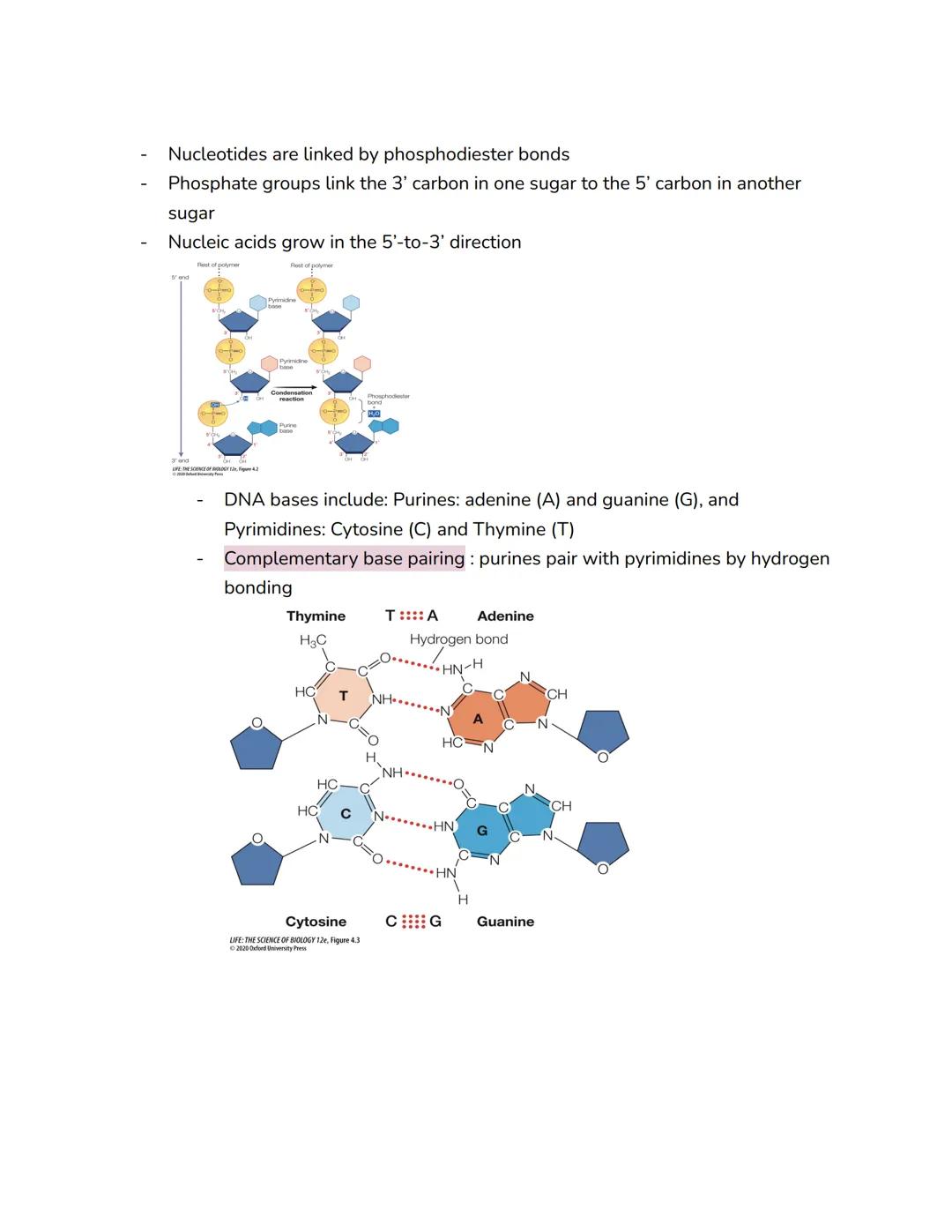 # Chapter 4: Nucleic Acids and the Origins of Life

- The search for life on Mars involves the two chemical signatures of life: the
presence