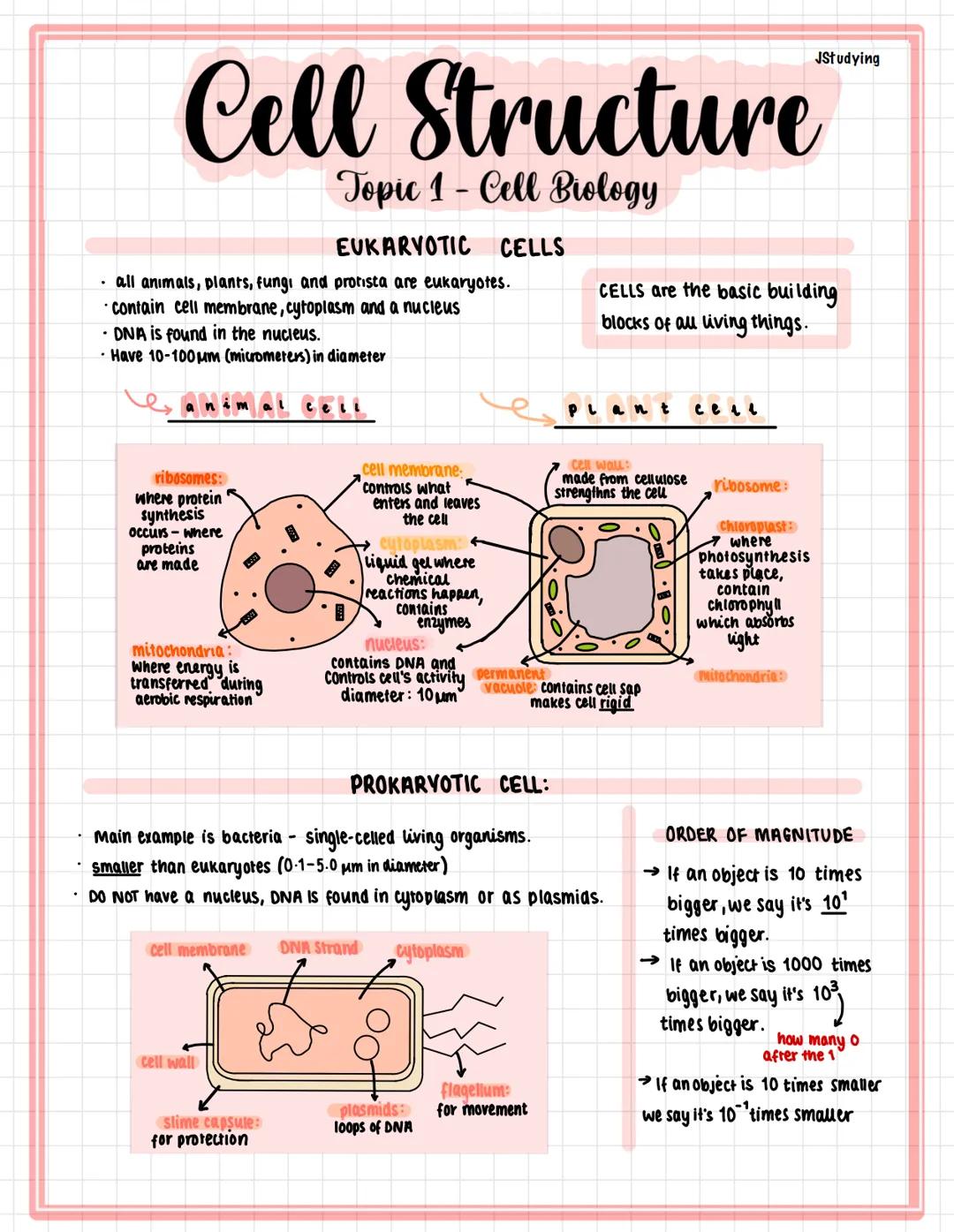 # Cell Structure
Topic 1 - Cell Biology

EUKARYOTIC CELLS

- all animals, plants, fungi and protista are eukaryotes.
- contain cell membrane
