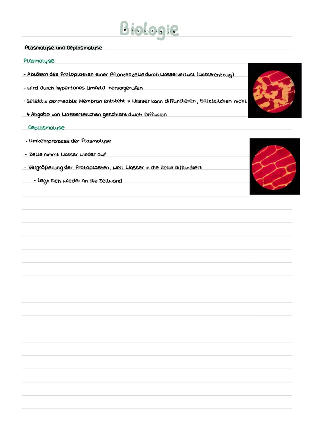 Biologie

Fachbegriffe

hydrophil Liebt Wasser, Fett abweisend

hydrophob Wasser abweisend, Liebl Fett

semi-permeabel = halb durchlässig, M