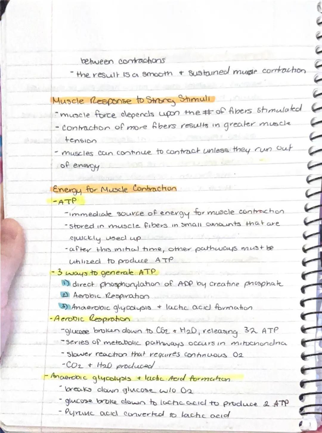 Muscular System.
- responsible for all types of body movement
- 3 basic muscle types.
1) Skeletal
2) Cardiac
3) Smooth

Characteristics of M