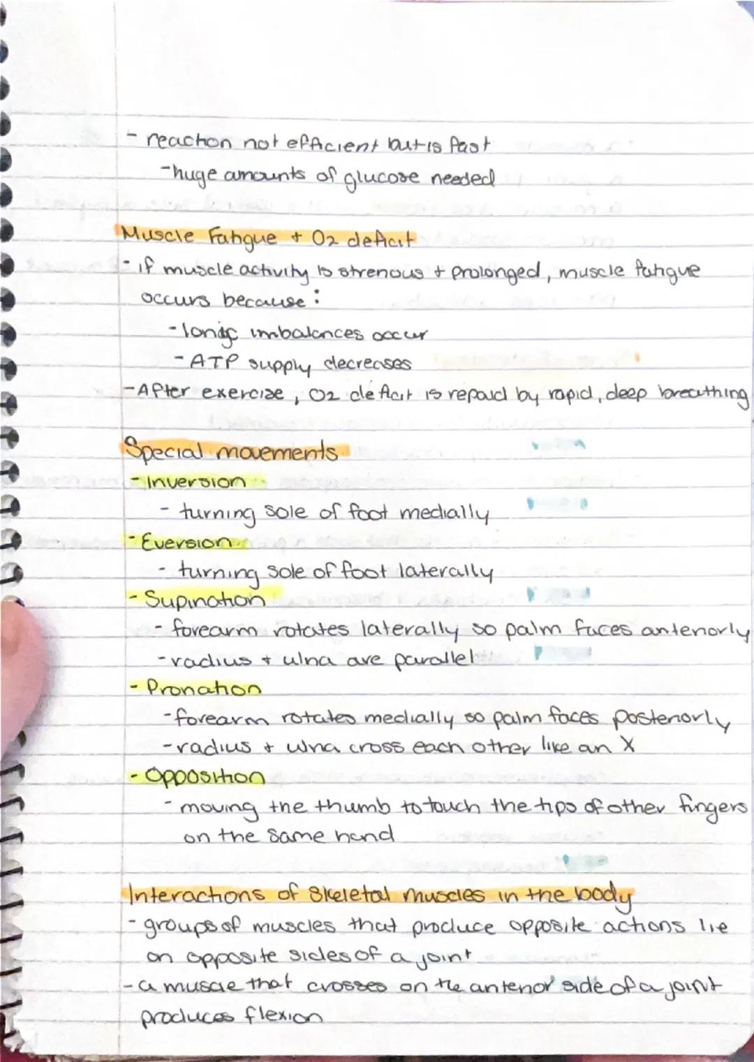 Muscular System.
- responsible for all types of body movement
- 3 basic muscle types.
1) Skeletal
2) Cardiac
3) Smooth

Characteristics of M