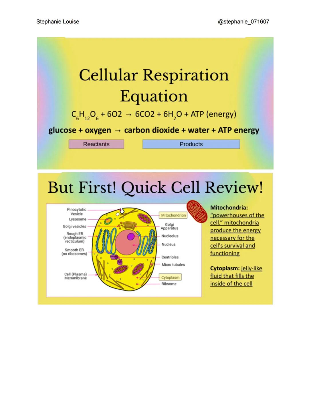 Stephanie Louise
@stephanie_071607

# Cellular

# Respiration

The Living Earth

# What is cellular
# respiration?

*   The process in which