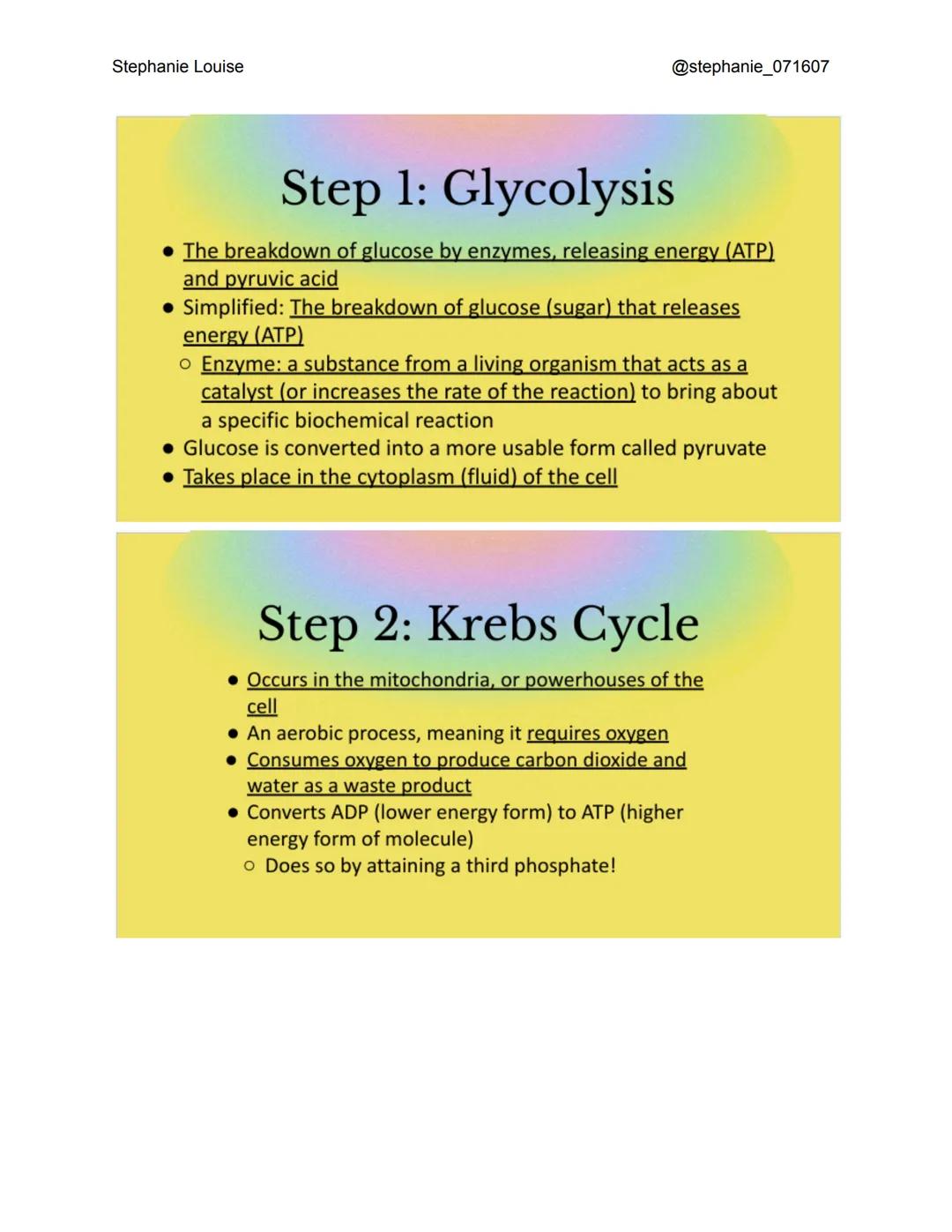 Stephanie Louise
@stephanie_071607

# Cellular

# Respiration

The Living Earth

# What is cellular
# respiration?

*   The process in which