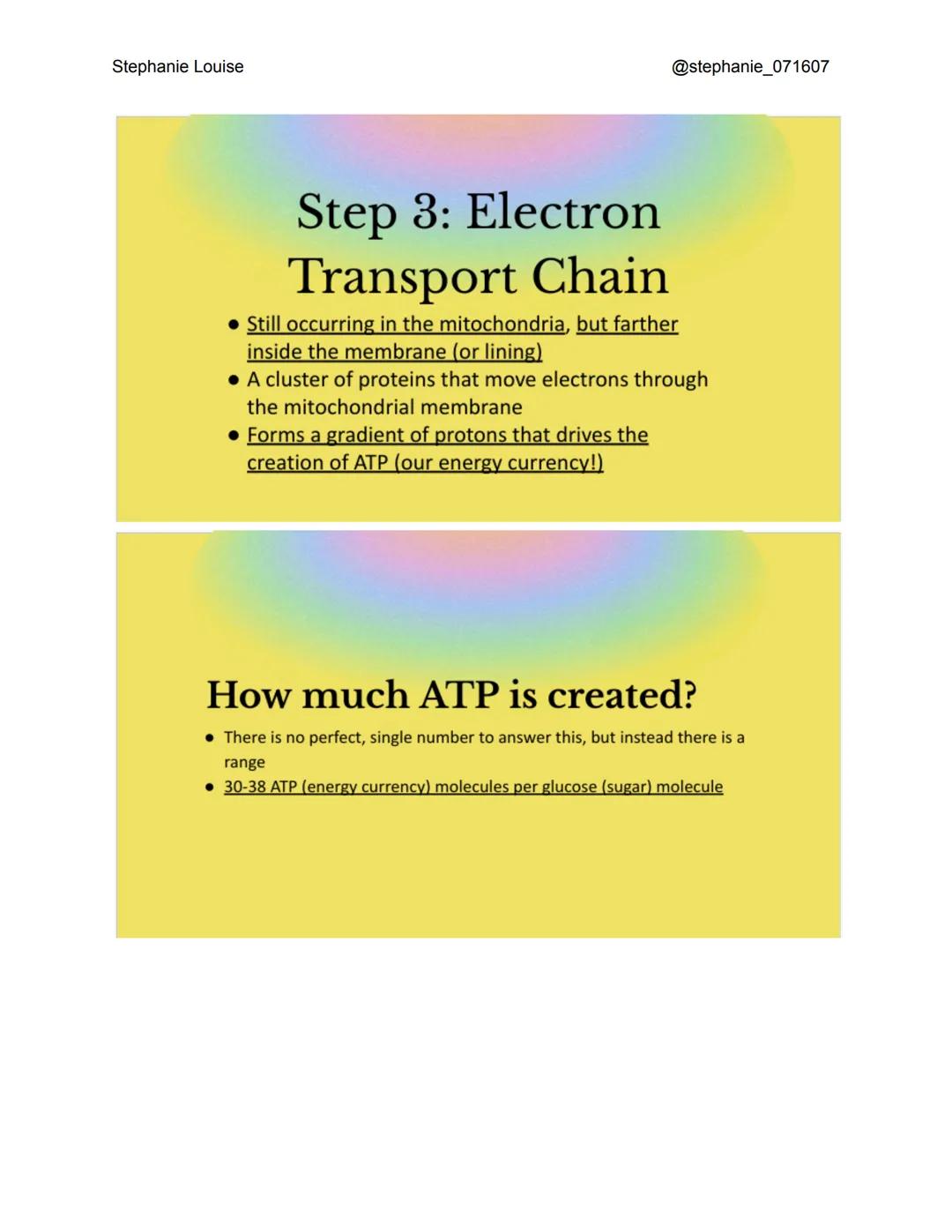 Stephanie Louise
@stephanie_071607

# Cellular

# Respiration

The Living Earth

# What is cellular
# respiration?

*   The process in which
