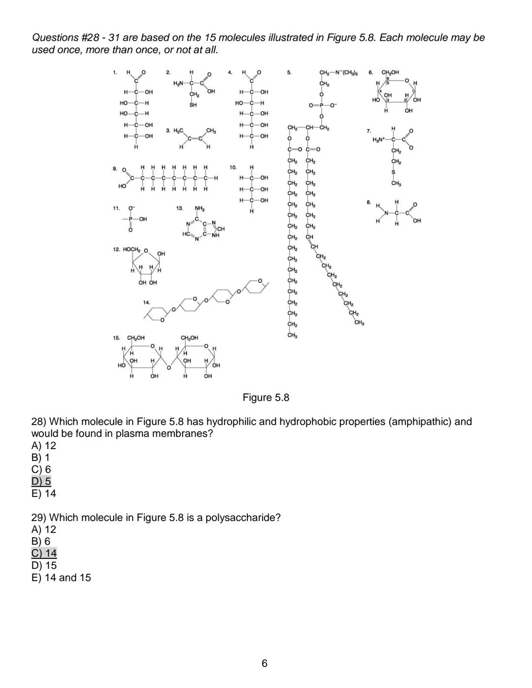 # Exam 1-Summer 2018
Biology 150 - General Biology I
150 Points Total

Use your scantron sheet for questions #1-50.

Multiple Choice - 2 poi