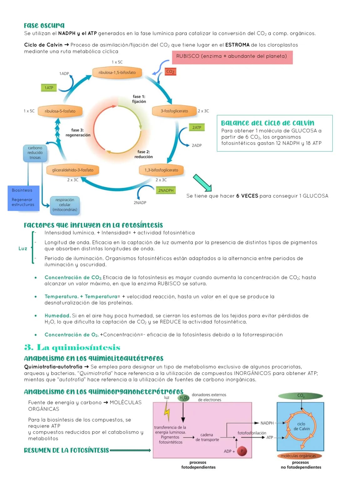 # BIOLOGÍA 2º EXAMEN 2ª EVALUACIÓN

ΤΕΜΑ 11. ENZIMAS Y CATABOLISMO

## 1. El metabolismo

Metabolismo Conjunto de reacciones químicas que pe