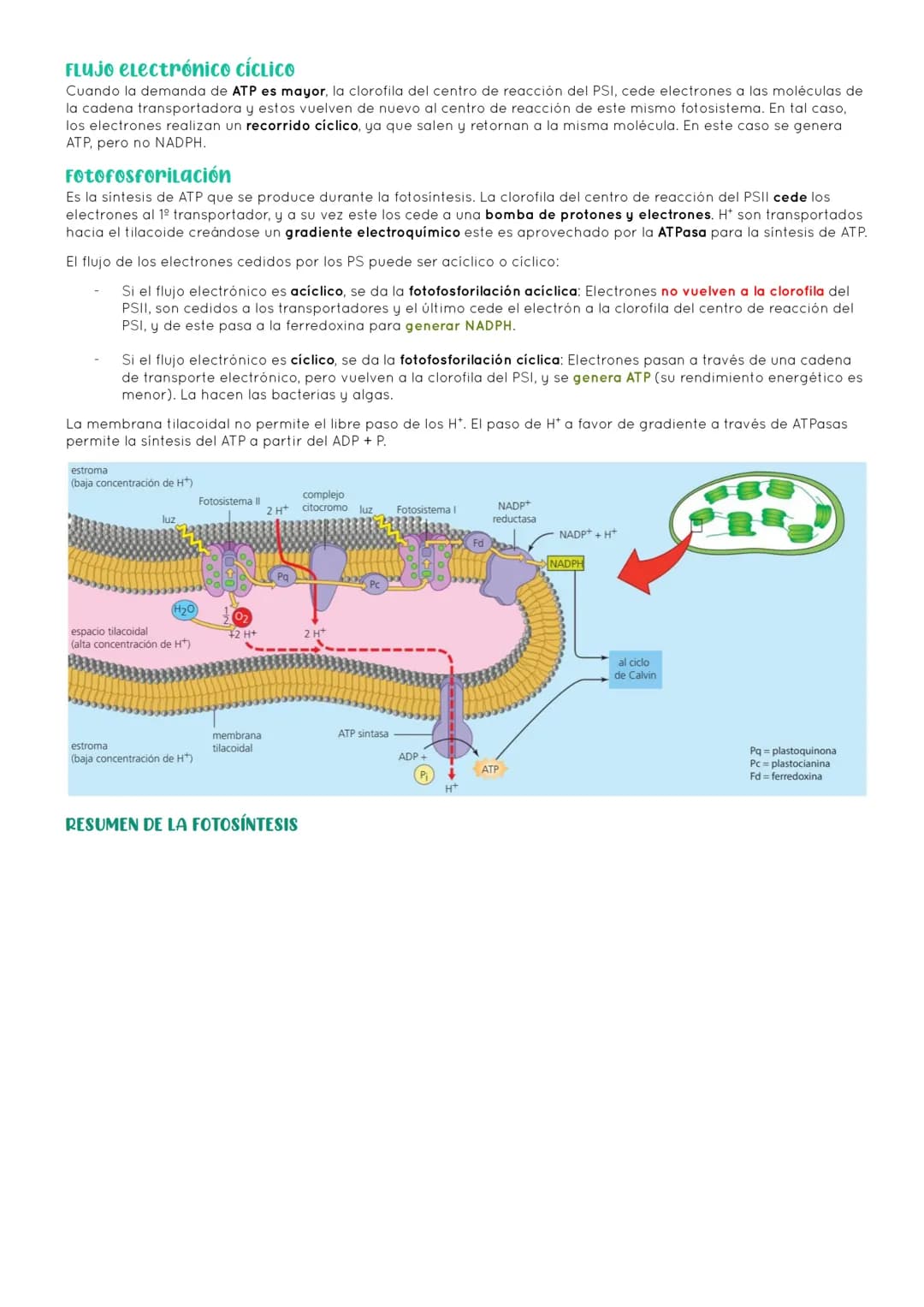 # BIOLOGÍA 2º EXAMEN 2ª EVALUACIÓN

ΤΕΜΑ 11. ENZIMAS Y CATABOLISMO

## 1. El metabolismo

Metabolismo Conjunto de reacciones químicas que pe