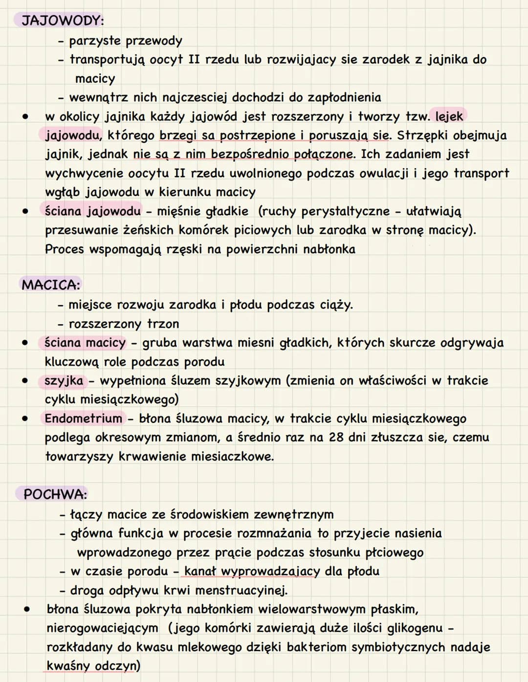 # 3. Budowa i funkcje żeńskich narządów
rozrodczych

1. Funkcje:

*   produkcja oocytów II rzędu
*   stworzenie w trakcie ciąży warunków do 