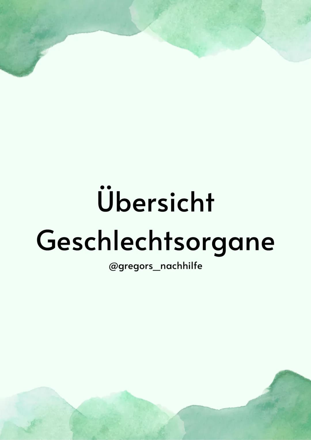 # Übersicht

Geschlechtsorgane

@gregors_nachhilfe # Grundlagen

Weibliches
Geschlechtsorgan

Eileiter
Venushügel
Schambeinfuge
Klitoris
kle
