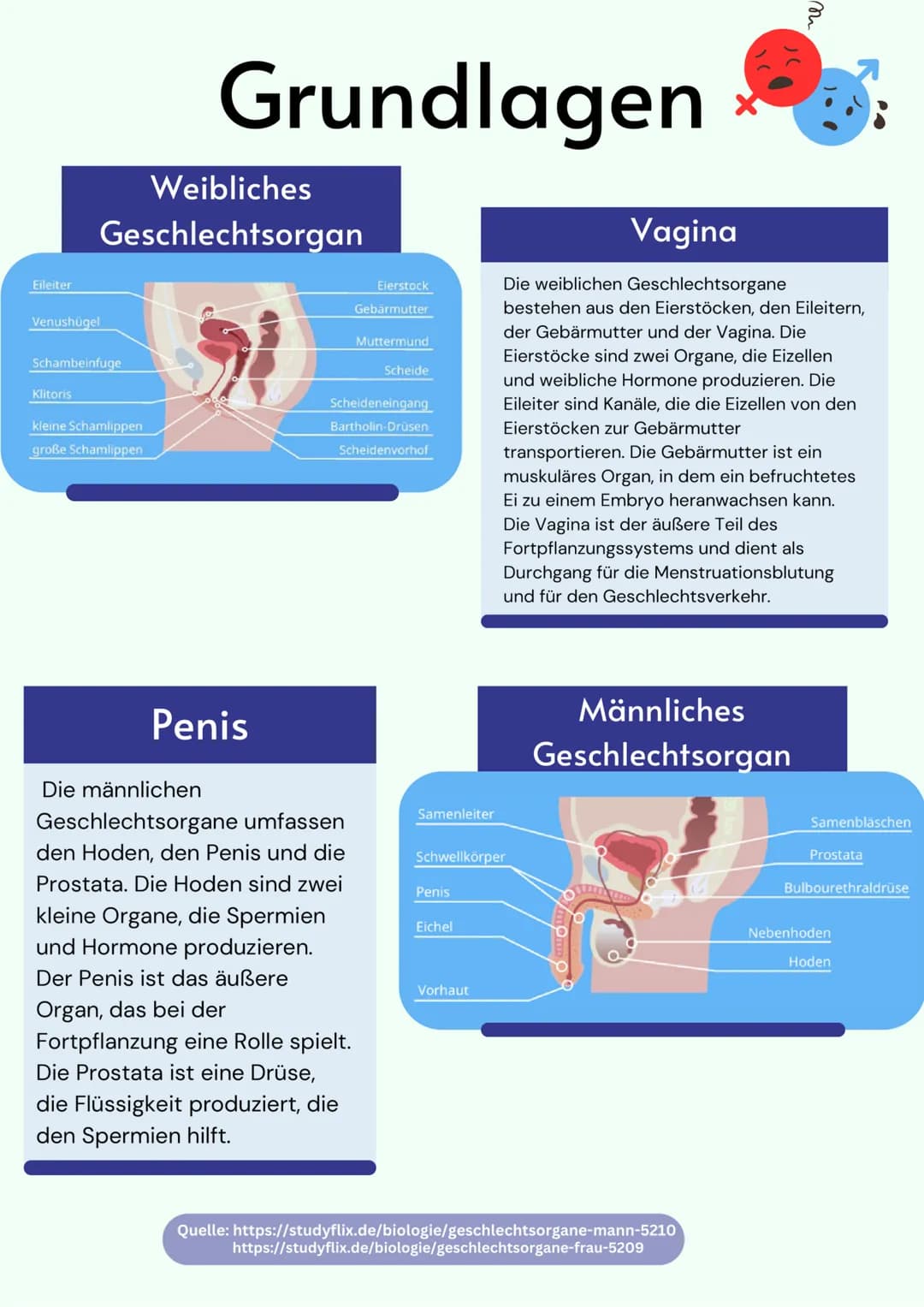 # Übersicht

Geschlechtsorgane

@gregors_nachhilfe # Grundlagen

Weibliches
Geschlechtsorgan

Eileiter
Venushügel
Schambeinfuge
Klitoris
kle