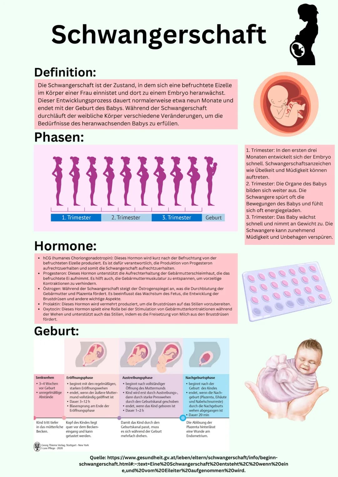 # Übersicht

Geschlechtsorgane

@gregors_nachhilfe # Grundlagen

Weibliches
Geschlechtsorgan

Eileiter
Venushügel
Schambeinfuge
Klitoris
kle