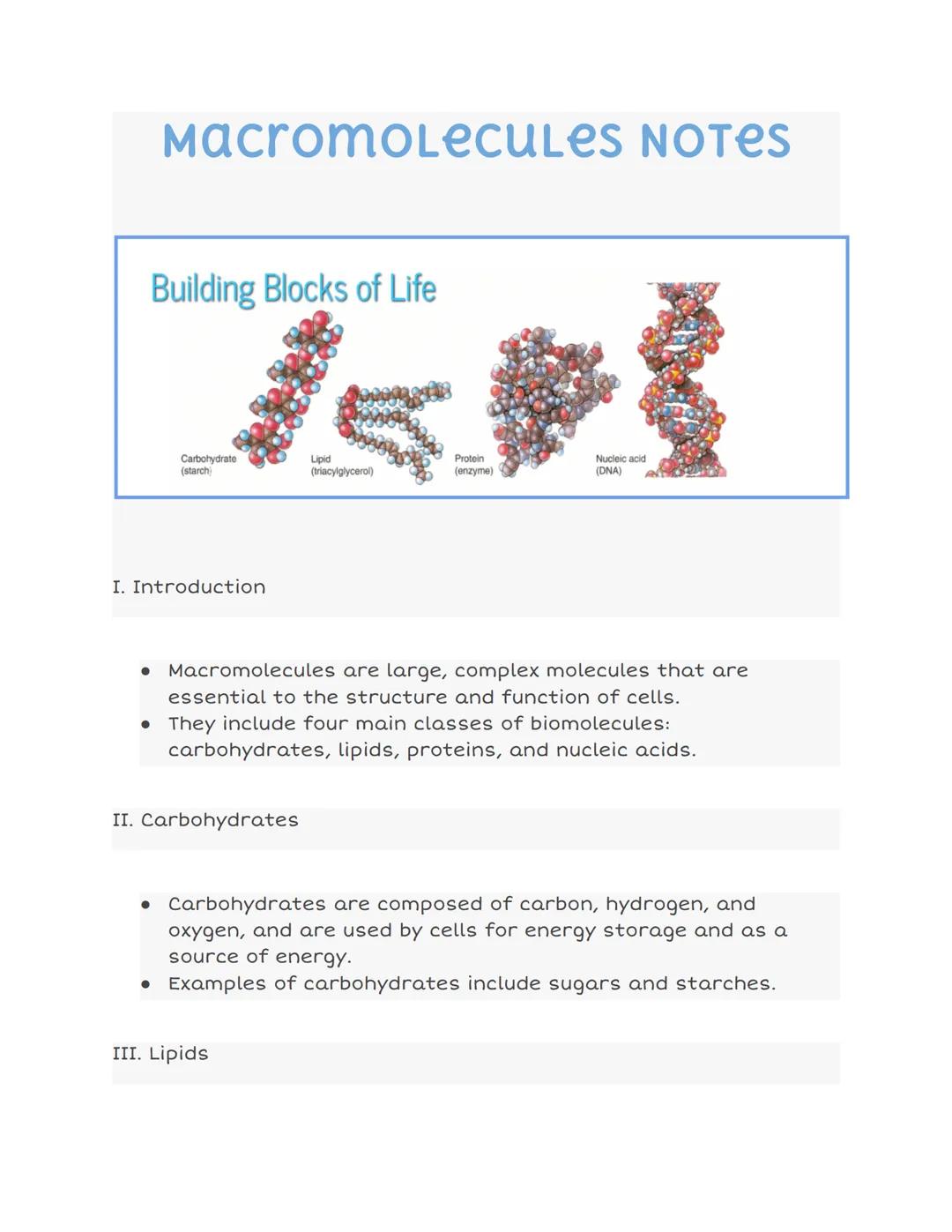 # масготOLECULES NOTES

## Building Blocks of Life

Carbohydrate
(starch)

Lipid
(triacylglycerol)

Protein
(enzyme)

Nucleic acid
(DNA)

I.