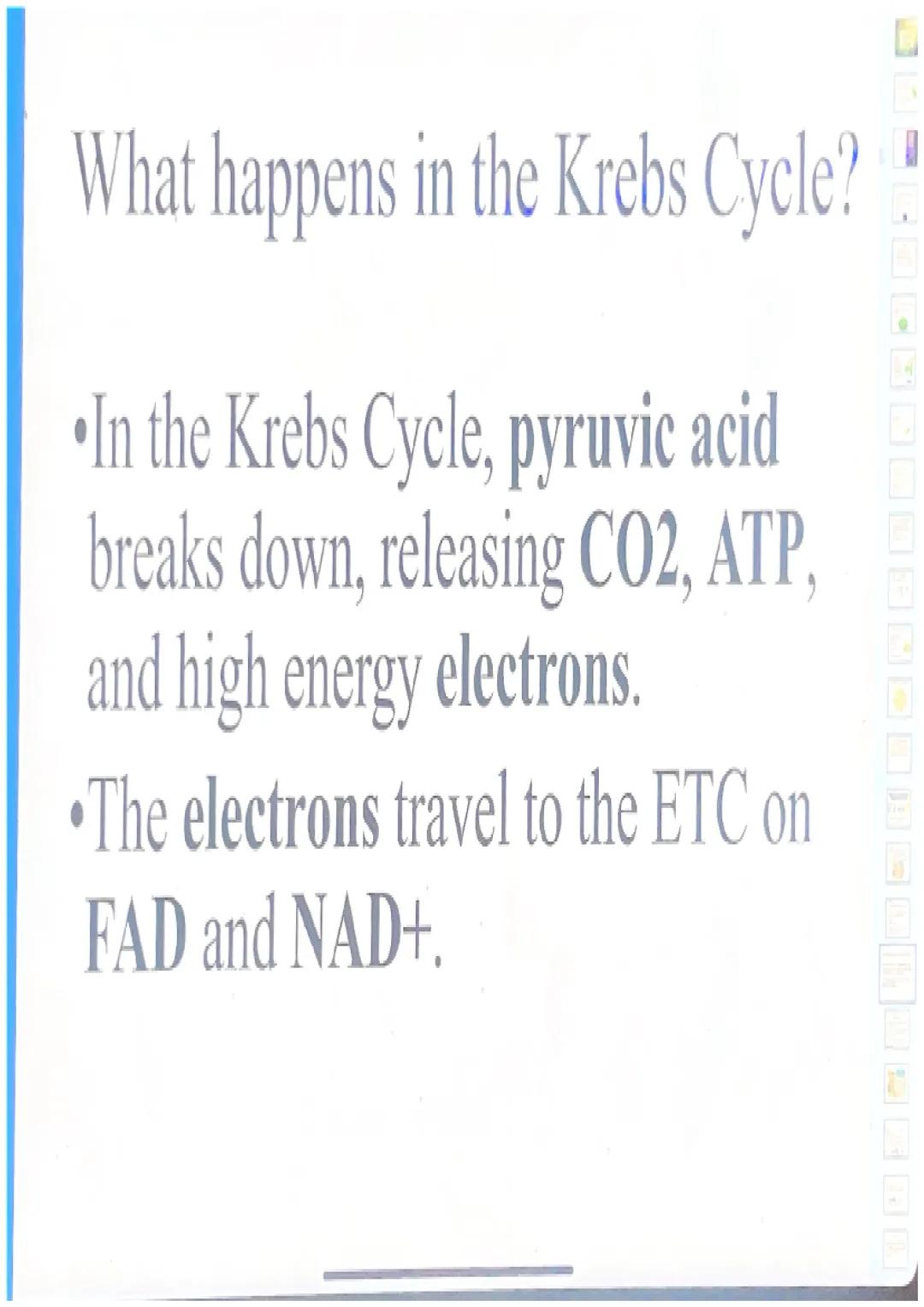 What happens in glycolysis?

•In glycolysis, a glucose molecule is
broken into 2 pyruvic acid
molecules.
•2 ATP are produced.
•Electrons are