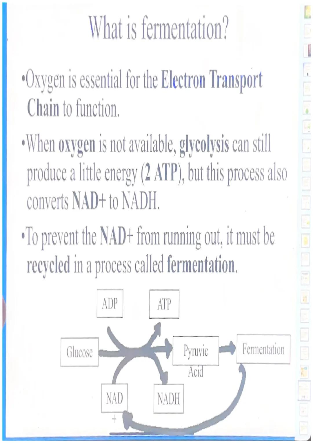What happens in glycolysis?

•In glycolysis, a glucose molecule is
broken into 2 pyruvic acid
molecules.
•2 ATP are produced.
•Electrons are