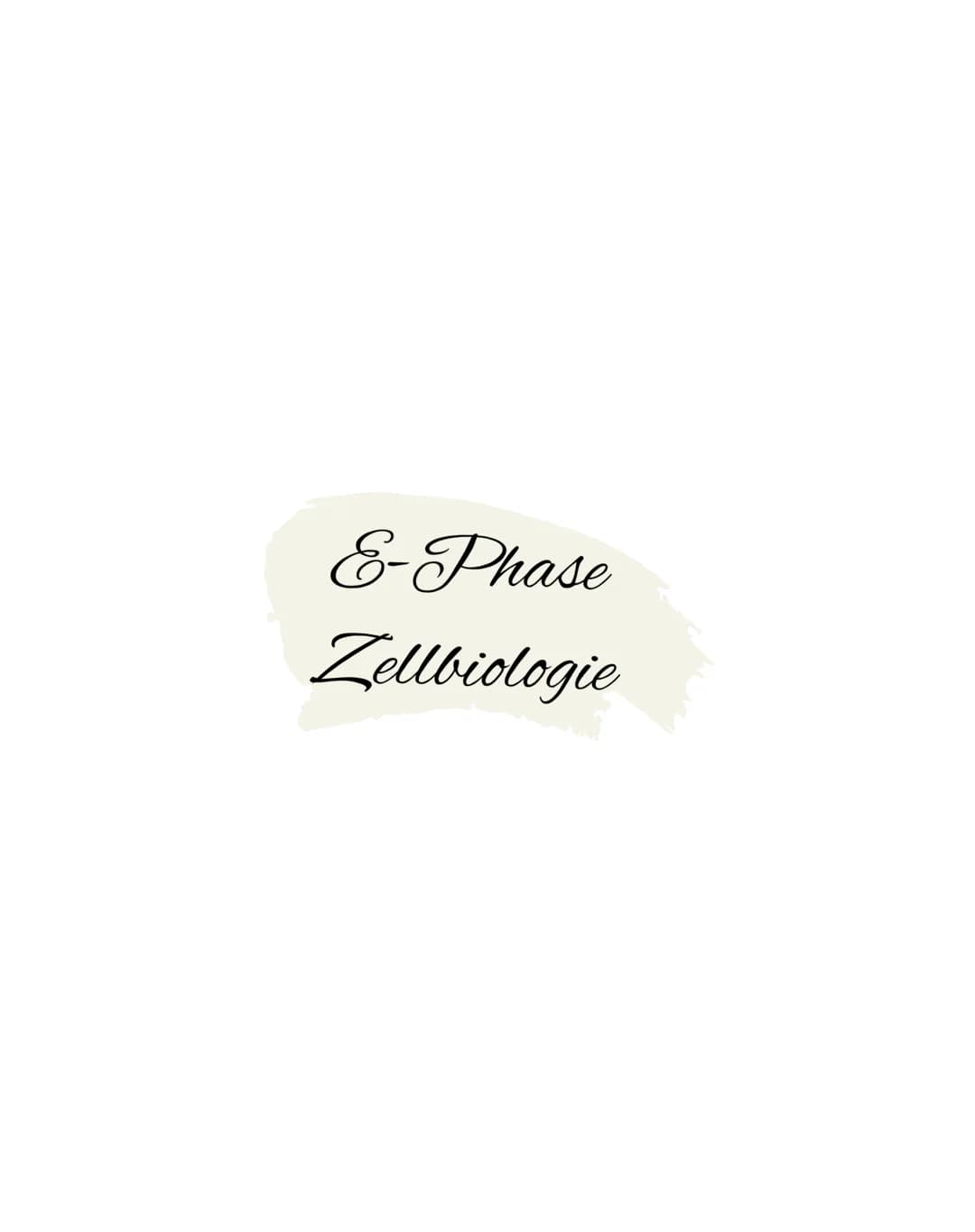 E-Phase
Zellbiologie # BIOLOGY Abitur Checkliste - Themenübersicht

Struktur und Funktion von Zellen

Organisationsstufen und Kennzeichen de