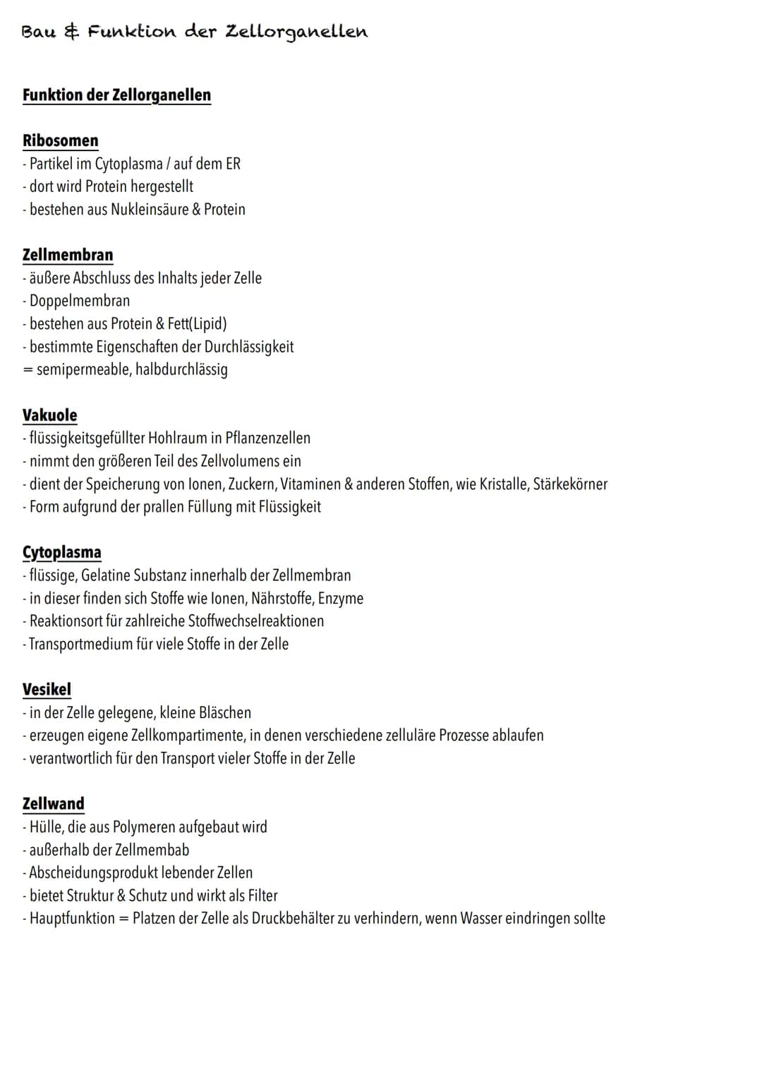 E-Phase
Zellbiologie # BIOLOGY Abitur Checkliste - Themenübersicht

Struktur und Funktion von Zellen

Organisationsstufen und Kennzeichen de