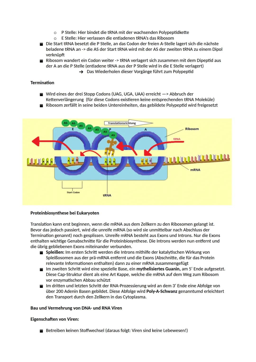 # Aufbau der DNA

Nucleinsäuren

Ein Nukleotid ist ein Grundbaustein von Nukleinsäuren (DNA und RNA). Viele Arten von Nukleotiden
haben lebe