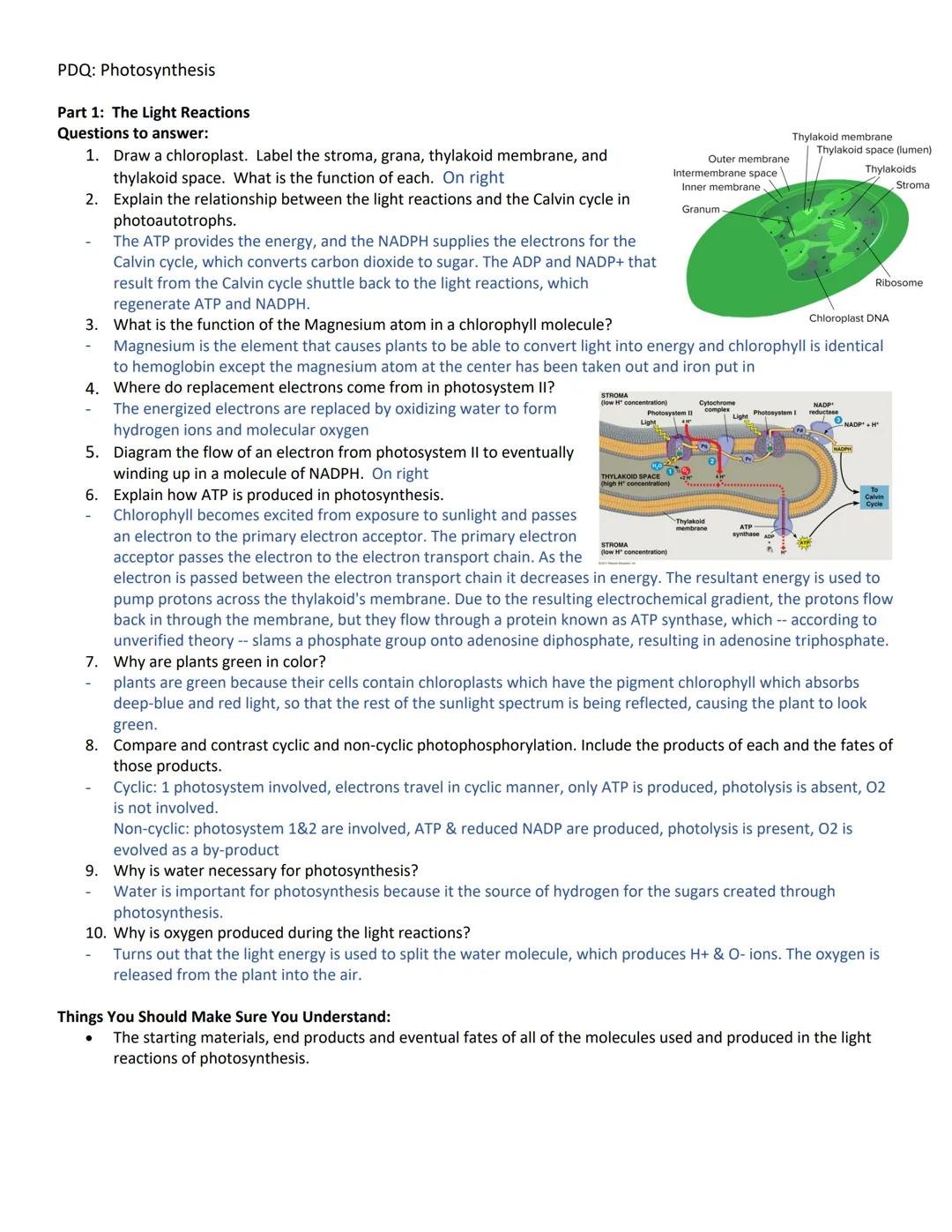 # PDQ: Photosynthesis

Part 1: The Light Reactions

Questions to answer:

1. Draw a chloroplast. Label the stroma, grana, thylakoid membrane