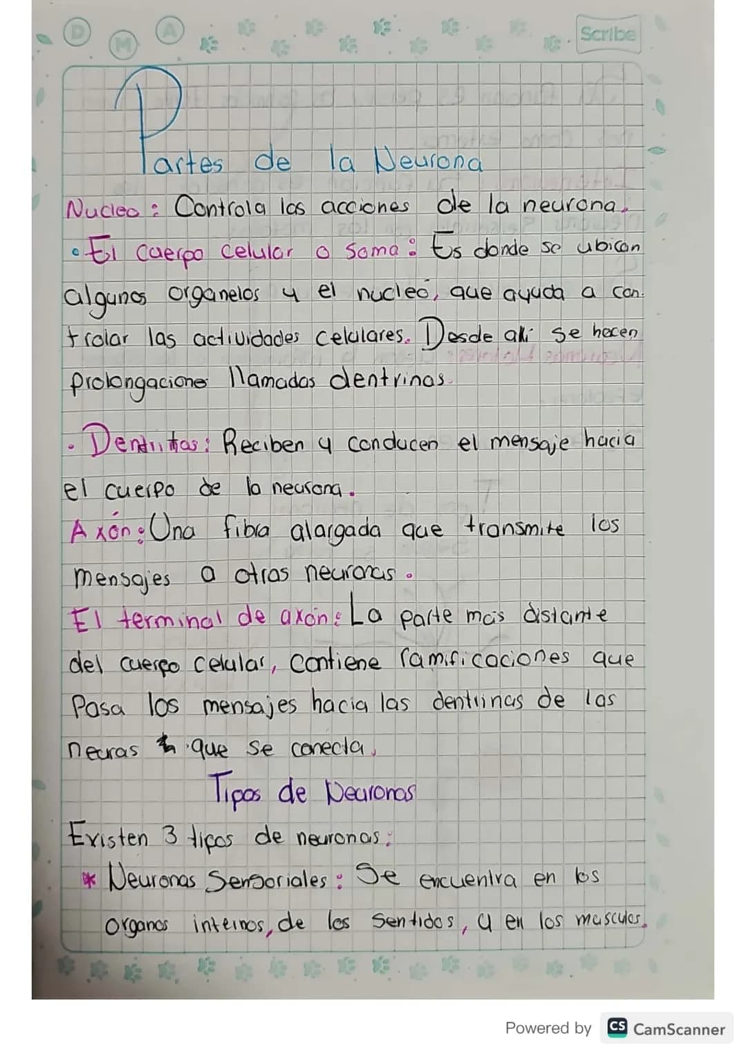 D
M
A
Scribe
# Sistema Nervioso

Es un conjunto de tejidos y organos que
activan para recibir 4 procesar informacion
para dar una respuesta.