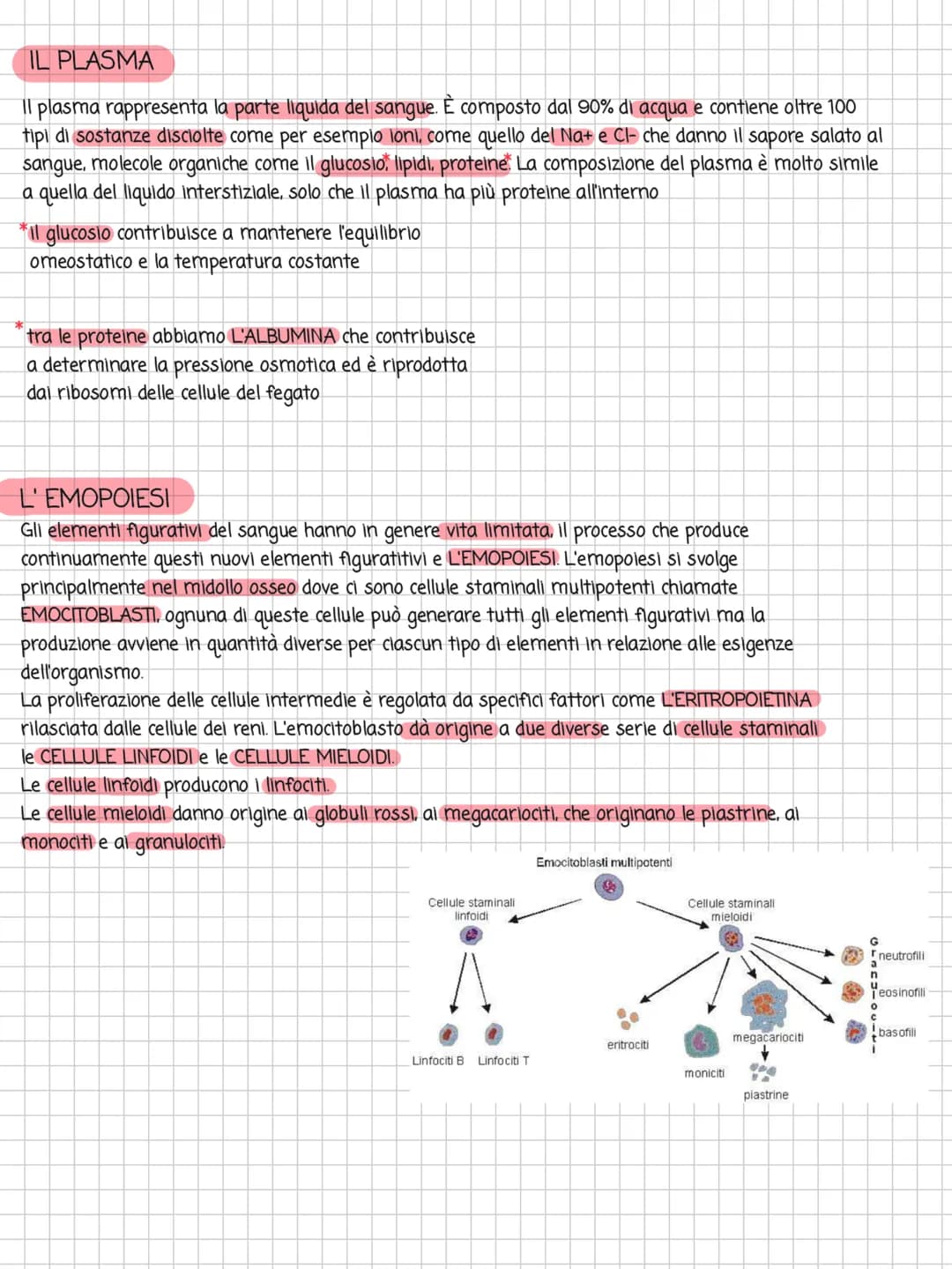 # BATTITO CARDIACO

FISIOLOGIA DELLA CONDUZIONE CARDIACA

Nodo
senoatriale

Fascio
di His

Ventricolo
destro

Nodo
atrioventricolare

Ventri