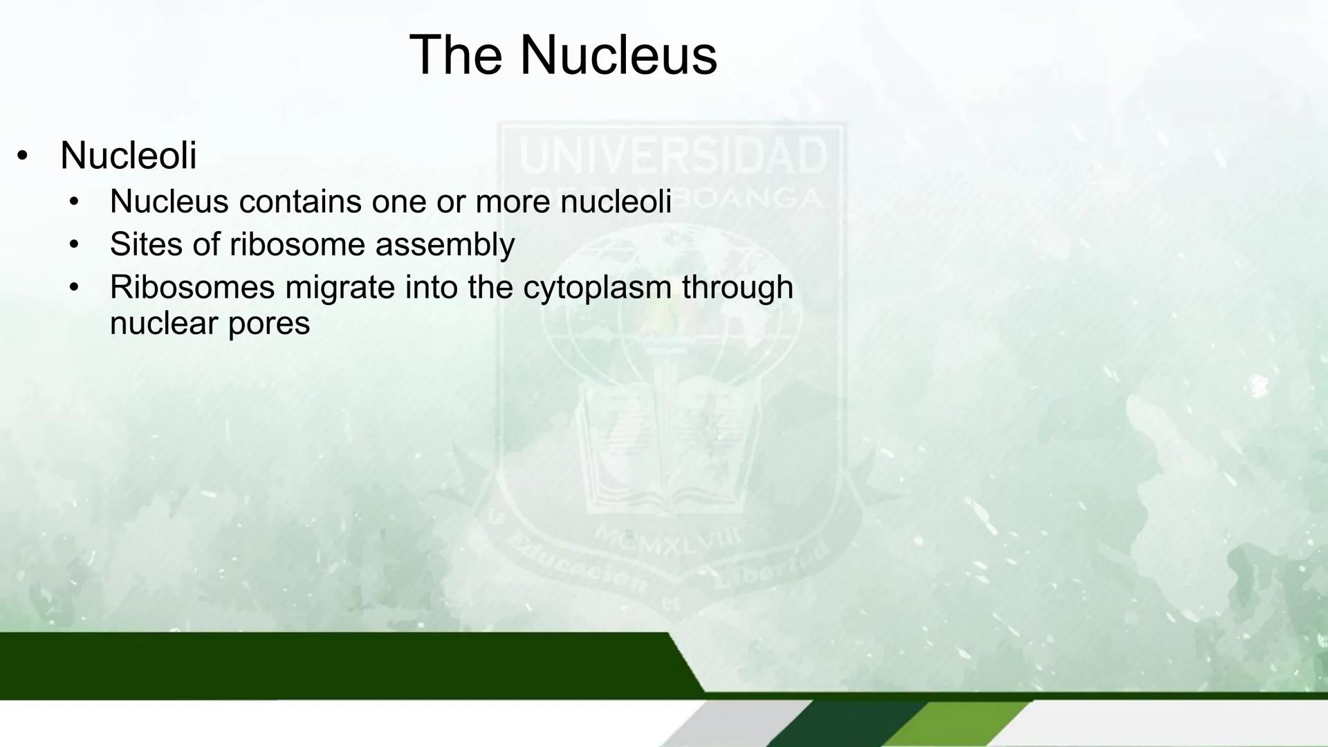 UNIVERSIDAD DE ZAMBOANGA
School of Allied Medicine
Department of Medical Technology
Human Anatomy and Physiology
With Pathophysiology
Cells 