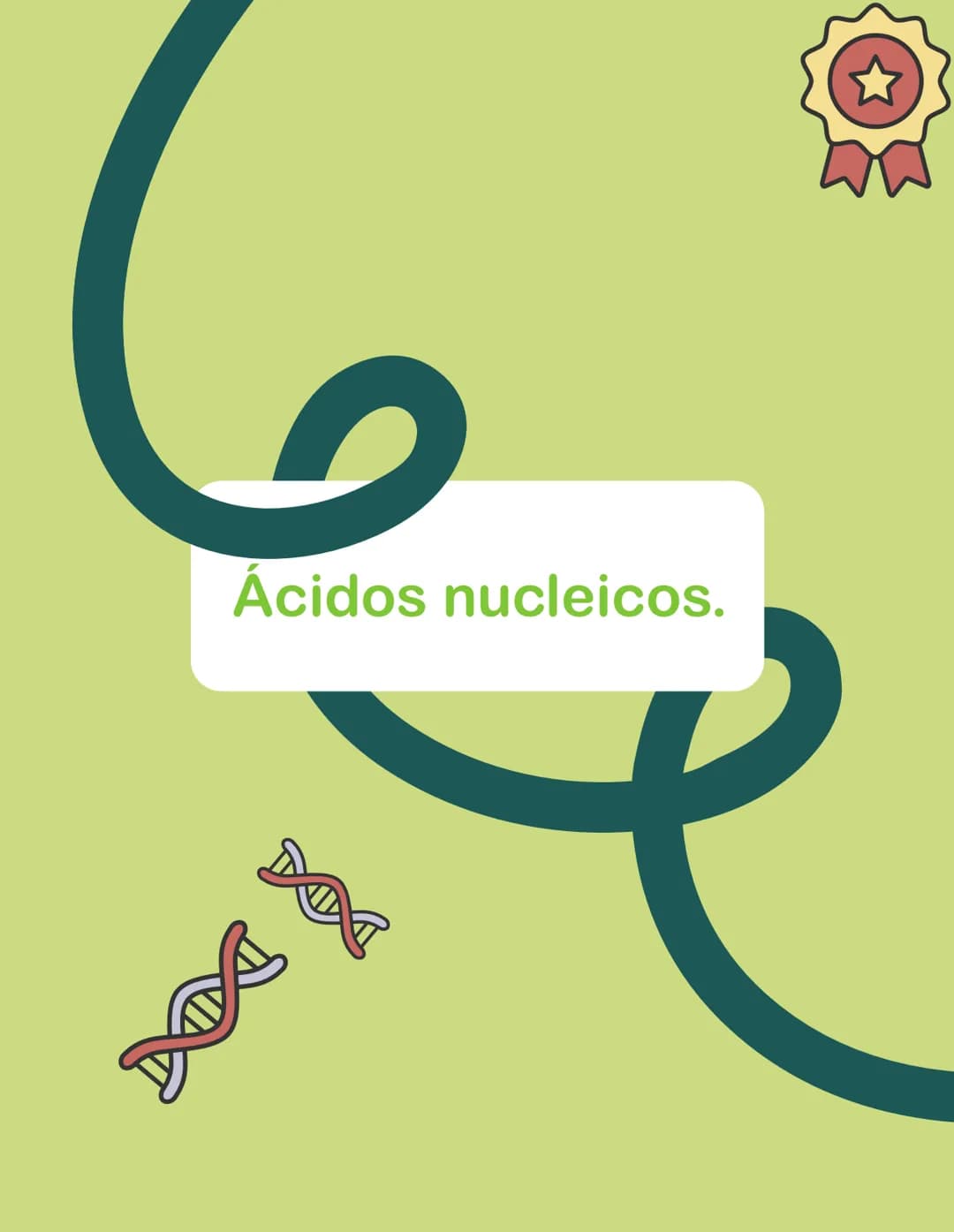 Ácidos nucleicos. 1. Ácidos nucleicos: moléculas encargadas de guardar,
transmitir y expresar la información genética. Se forman con la
unió