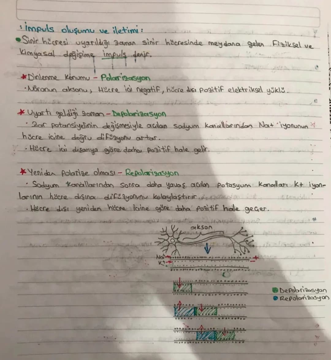 SİNİR SİSTEMİ
:
:Sinir sistemi yapısı.
•Canlının dış cievre ve organizma arasındakı ilişkisini sağlayan sistemdir.
•Sinir sistemini oluştura