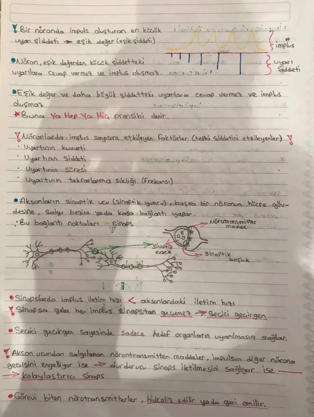 SİNİR SİSTEMİ
:
:Sinir sistemi yapısı.
•Canlının dış cievre ve organizma arasındakı ilişkisini sağlayan sistemdir.
•Sinir sistemini oluştura