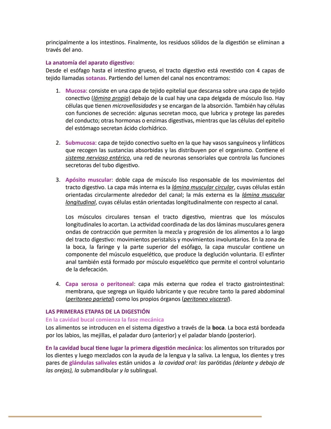 # SISTEMA DIGESTIVO

LA ORGANIZACIÓN DEL APARATO DIGESTIVO
De los alimentos a los nutrientes:
El sistema digestivo (o gastrointestinal) prop